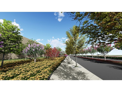 塘沽市政道路绿化树苗种类大全