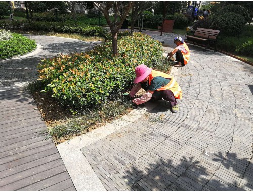 枣阳城市园林绿化管理条例