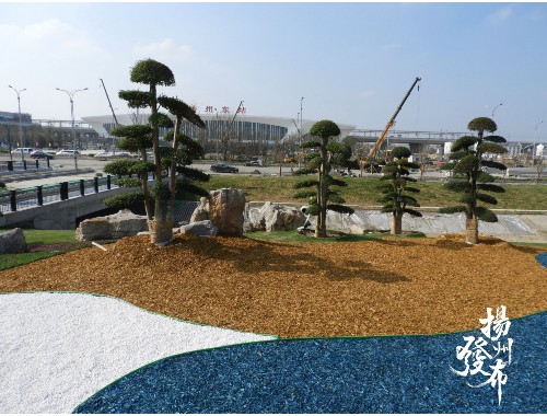 南充城市道路绿化养护成本