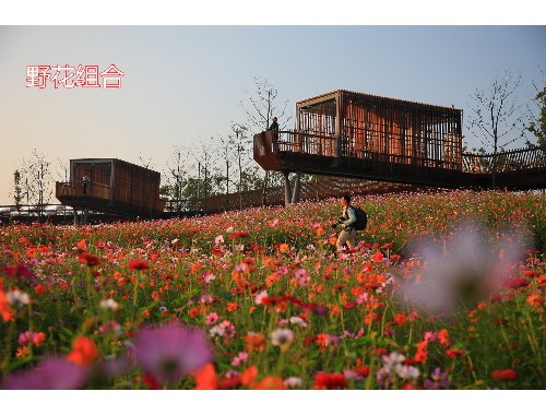 乌苏市城市绿化面积