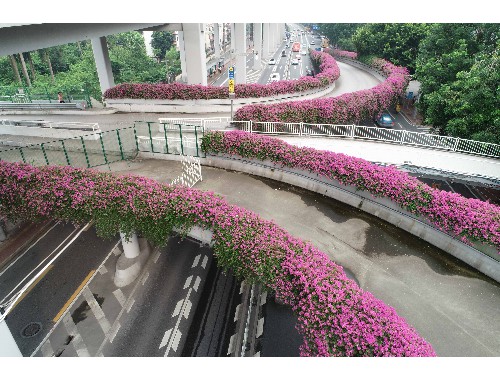 富锦城市道路绿化规范2022